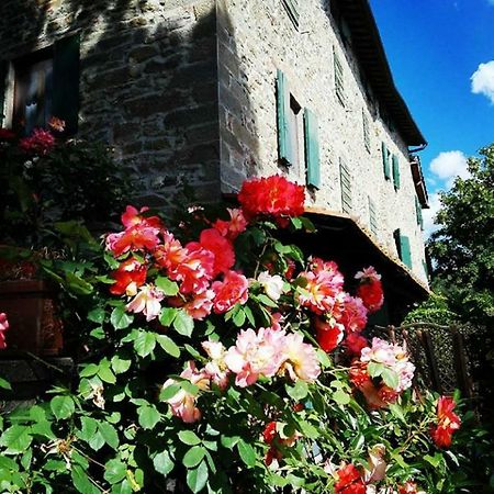 Podere I Rovai-Apt Il Rifugio- In The Heart Of Tuscany Reggello Kültér fotó