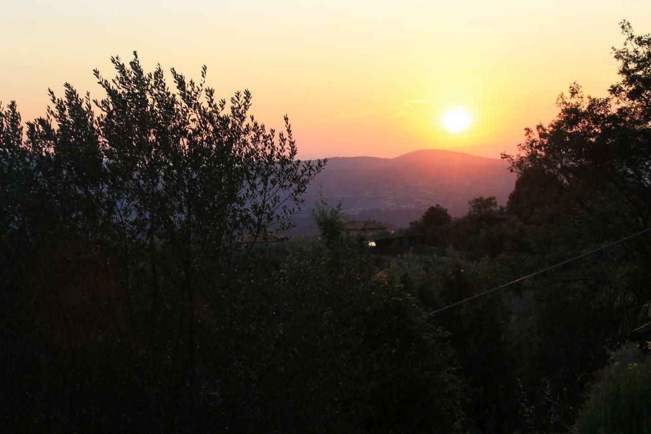 Podere I Rovai-Apt Il Rifugio- In The Heart Of Tuscany Reggello Kültér fotó