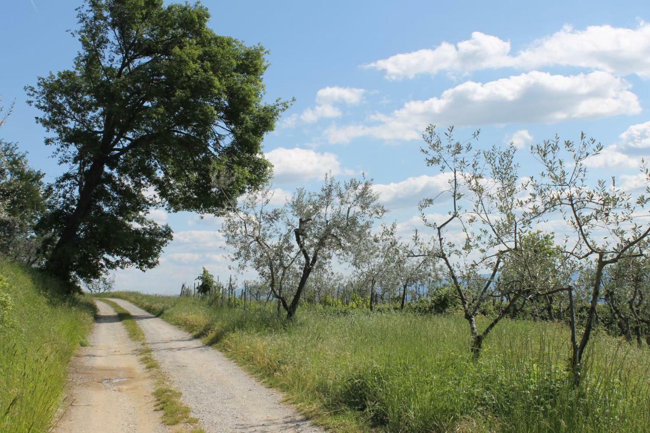 Podere I Rovai-Apt Il Rifugio- In The Heart Of Tuscany Reggello Kültér fotó